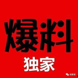 独家爆料官网,揭秘幕后真相，一探究竟！